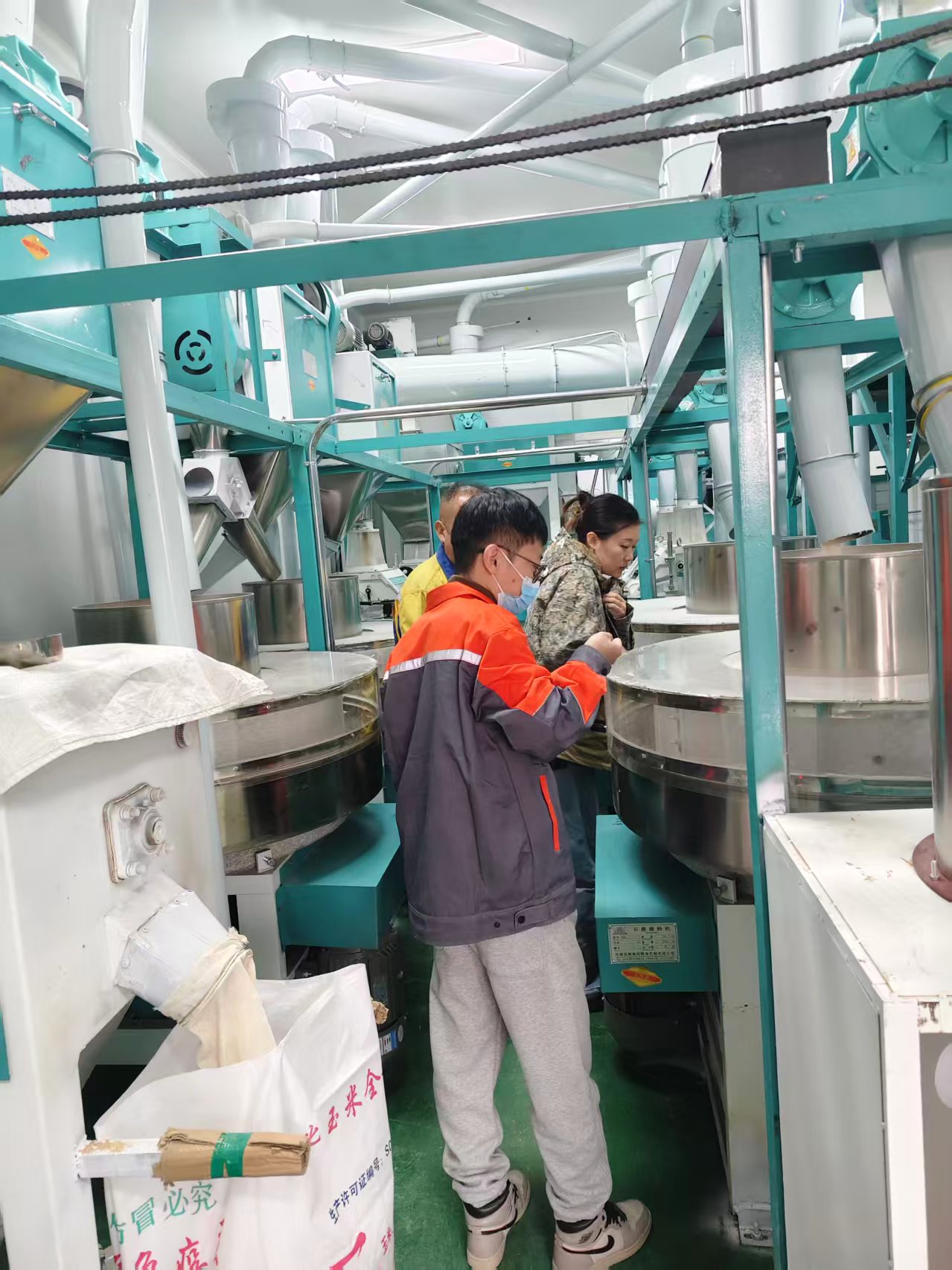 天津寶坻區(qū)王總日處理小麥25噸石磨面粉機生產線